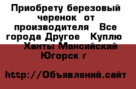 Приобрету березовый черенок  от производителя - Все города Другое » Куплю   . Ханты-Мансийский,Югорск г.